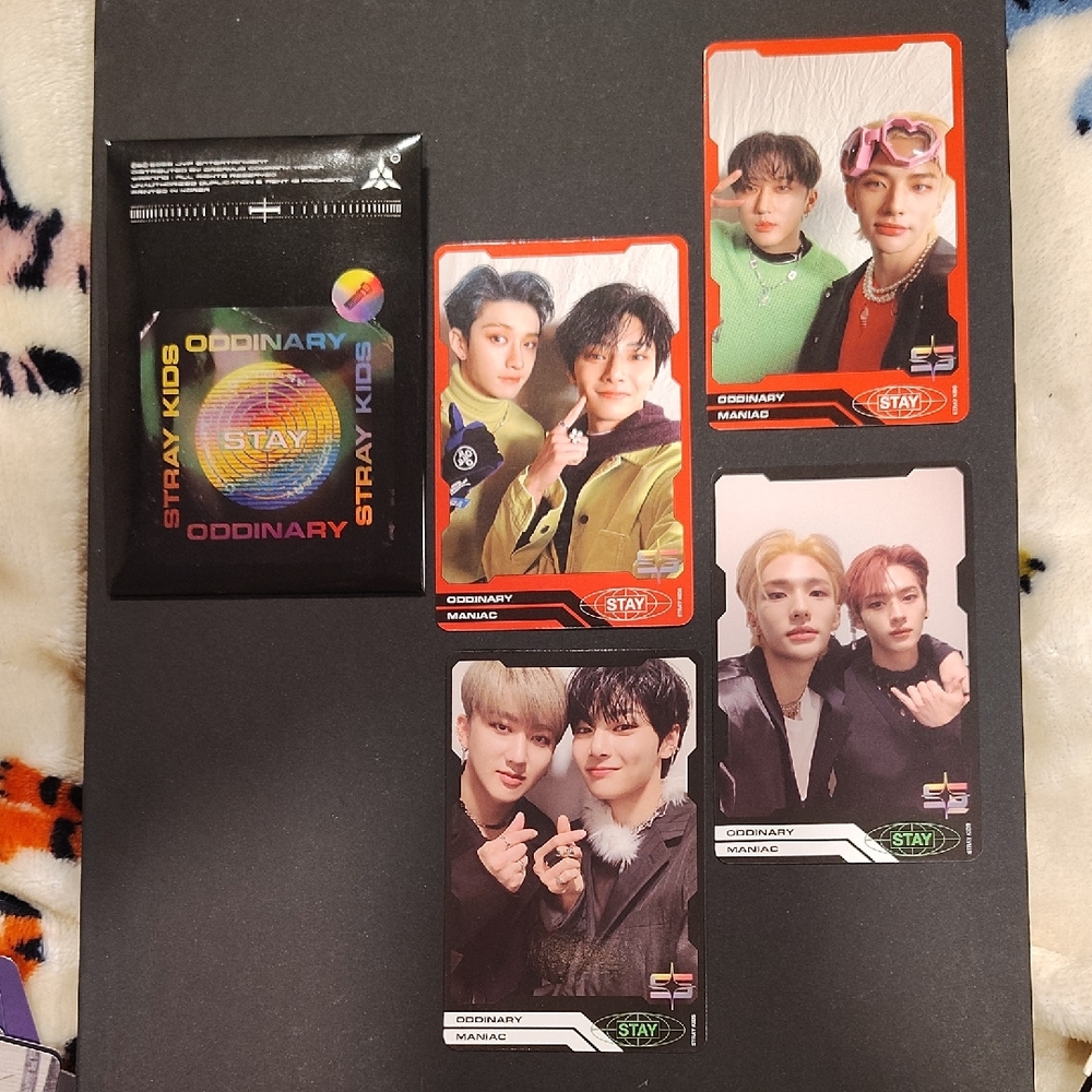 Stray Kids Photocards Set